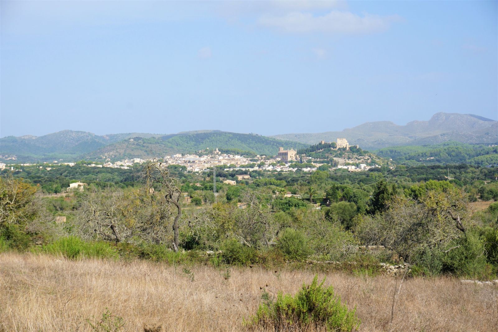 Arta finca and buildings to build and renovate