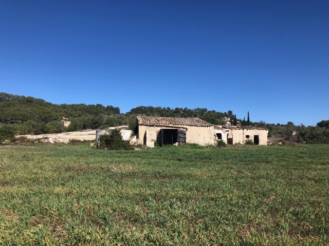 Country house to extend and reform on a large plot for sale in Sant Joan