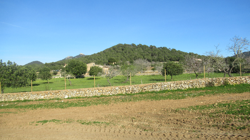 Völlig legale Finca zum Verkauf zwischen Es Carritxo und Felanitx