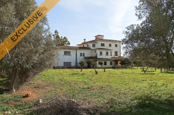 Stunning large finca with big plot in very quiet location in the wine area near Inca