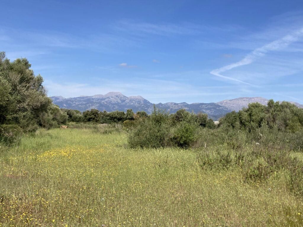 Building plot for a private family house with views over the Bay of Alcudia