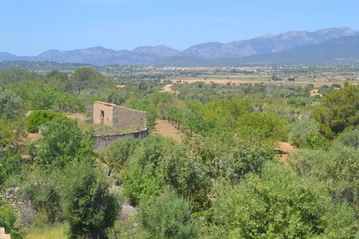 House for sale in the small hamlet of Ses Coves Santa Eugenia Mallorca