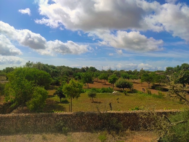 Rustic plot for sale with approved project and building license in Ses Salines, Mallorca