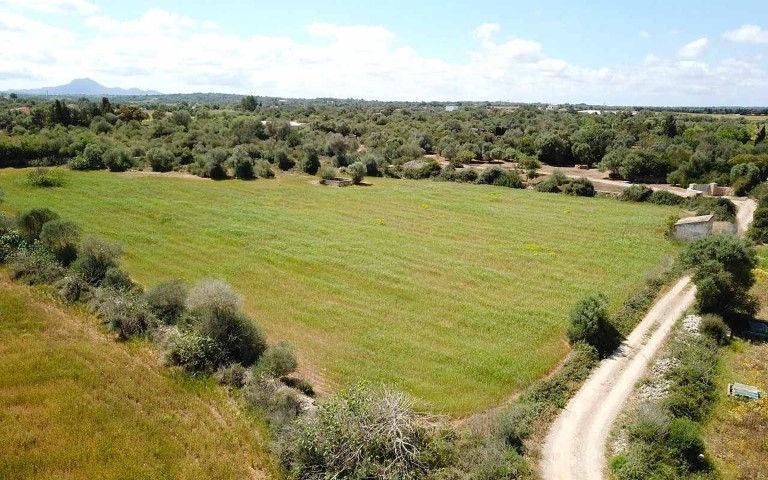 Building plot for a family house for sale with a building license outside Manacor