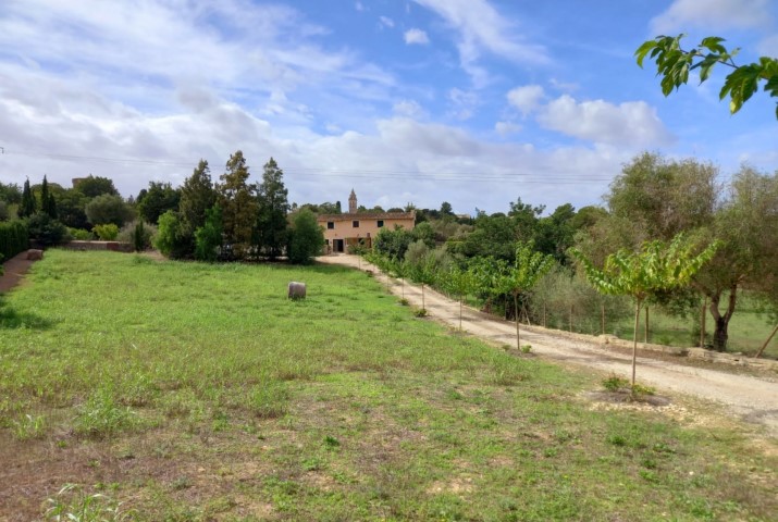 Finca fully legal on a large plot to reform in Santa Eugenia