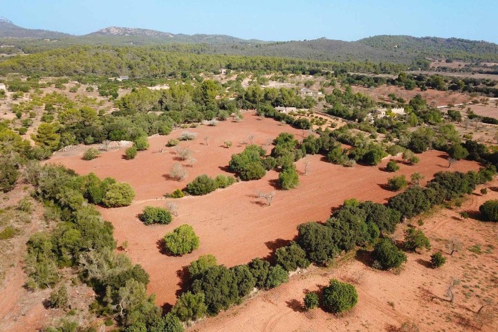 Exclusive plot for sale in a peaceful area between Porreres and Llucmajor