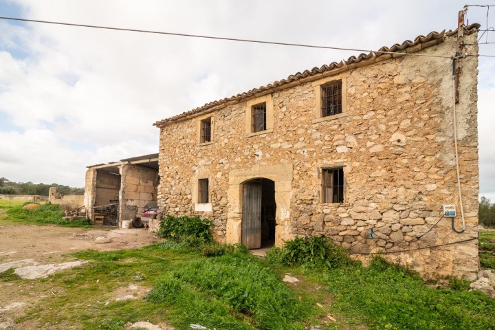 Finca with a rustic house to refurbish for sale close to Arta