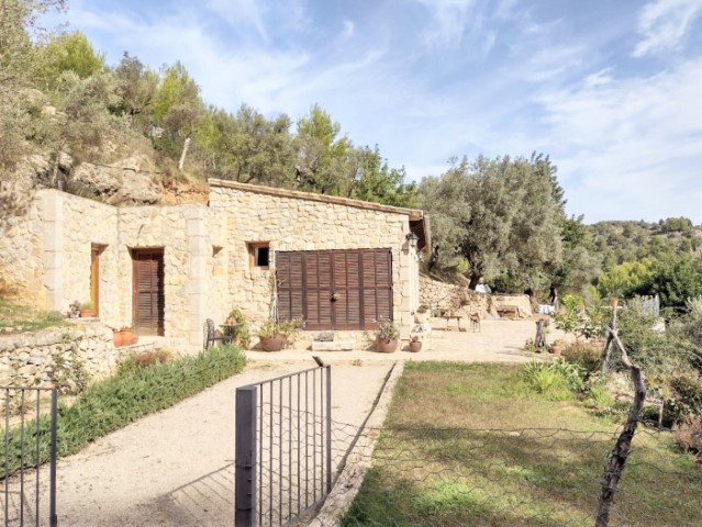 Rustic villa in the middle of nature for sale in Mancor de la Vall