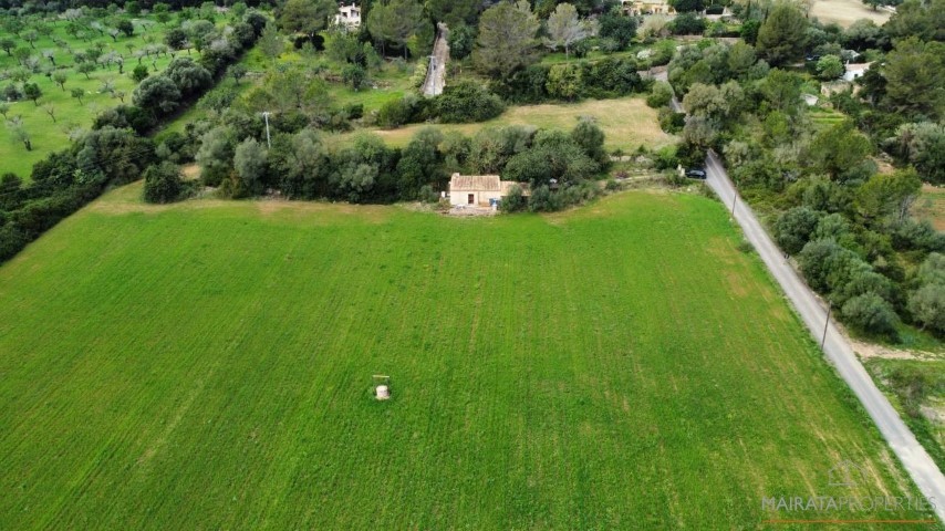 Rustic land for sale with the possibility of building on the outskirts of Alcudia